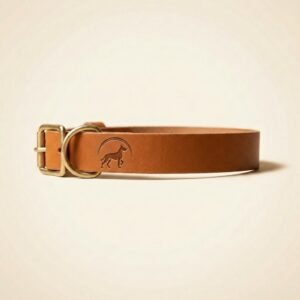full grain leather collar — Fitter Pets Co.