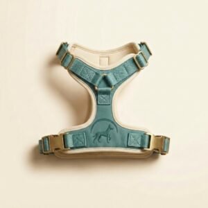 step in padded harness — Fitter Pets Co.