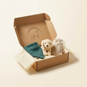 the welcome home gift box — Fitter Pets Co.